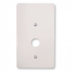 Placa Blanca C-80 y C-100